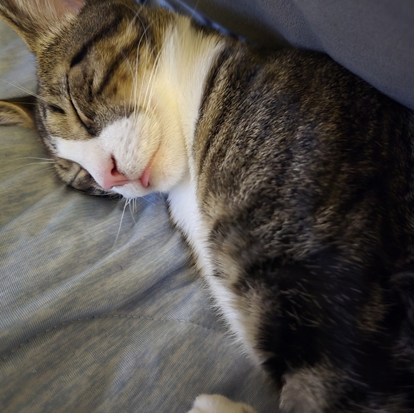 Meet your Posher - Picture 3 of 7